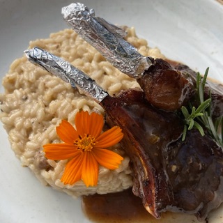 Risotto ai Funghi com Carré de Cordeiro