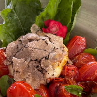 Burrata com Salsa Tartufada
