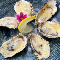 Ostra Gratinada Santa Catarina